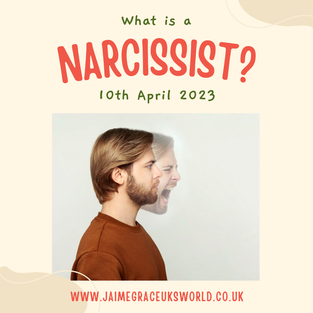 What is a narcissist?